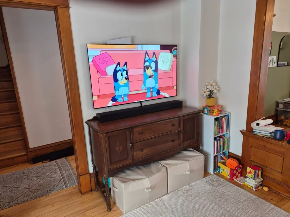 55-inch TV flush mount on historic plaster wall in St. Paul
