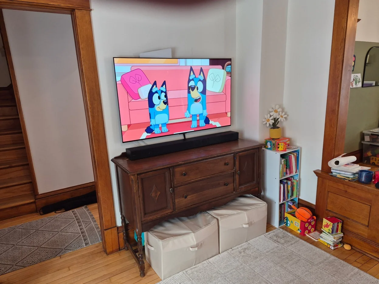 55-inch TV flush mount on historic plaster wall in St. Paul