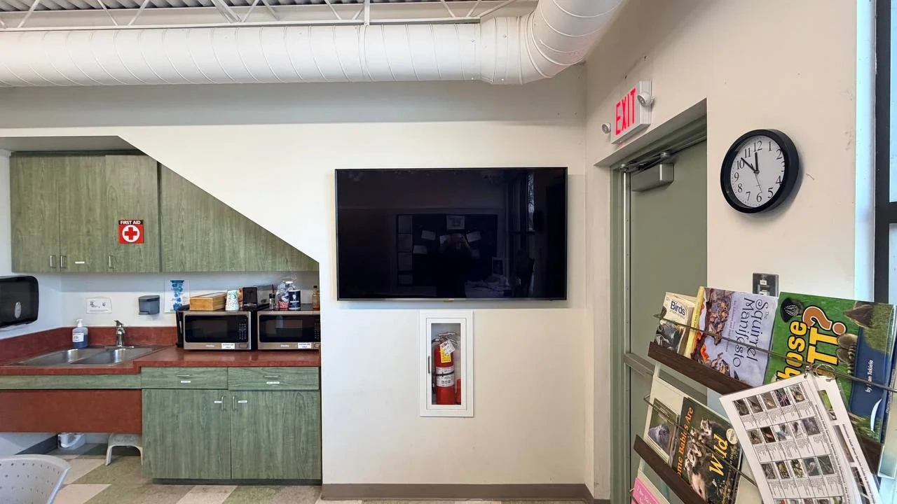 Roseville Mn Commercial Tv Mounting 65 Inch Metal Studs - The Mounting Man